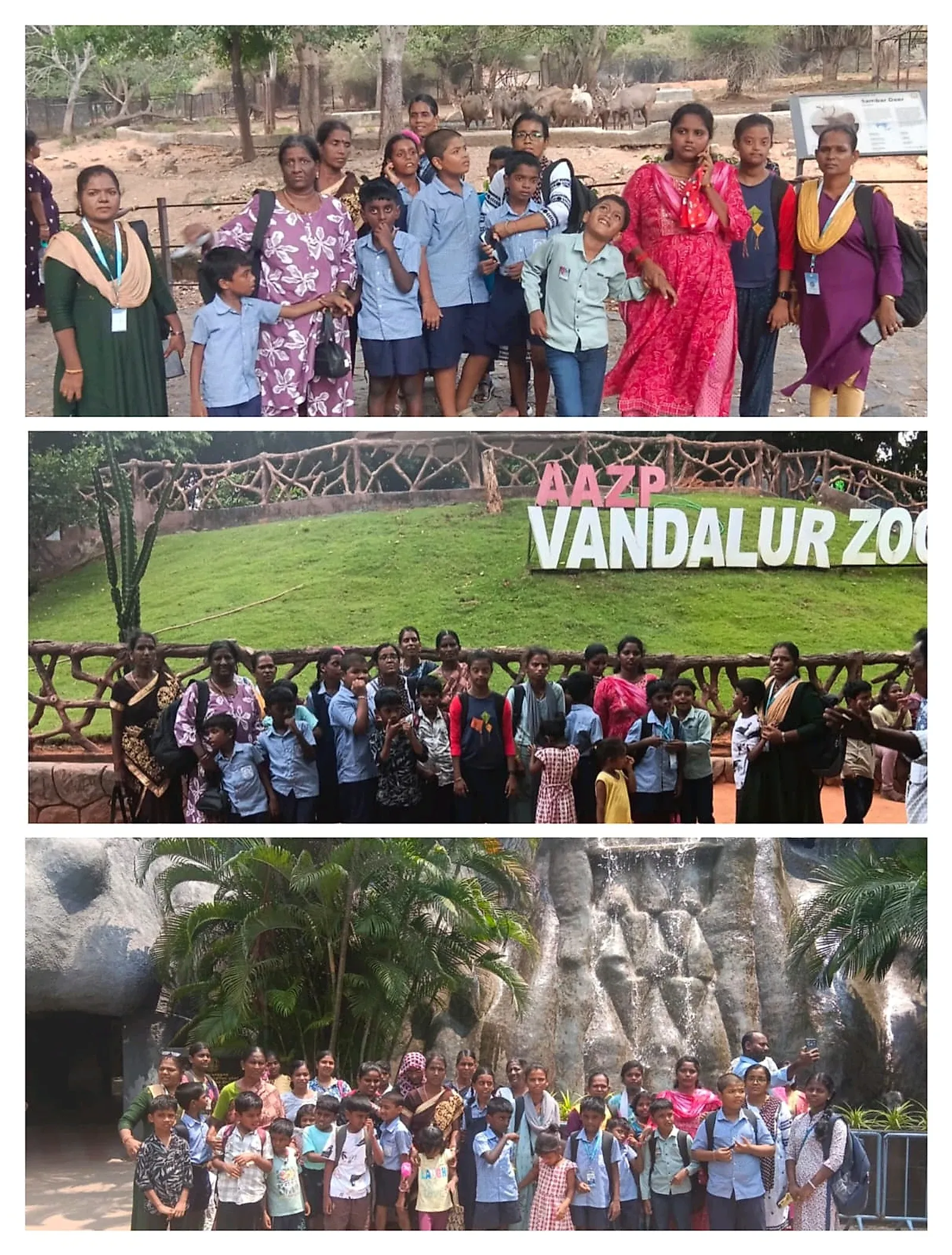 A Joyful Visit to Arignar Anna Zoological Park